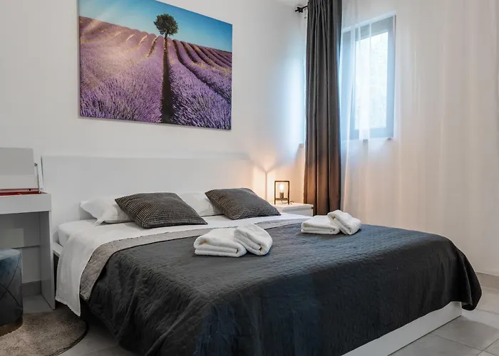 Olive Hill Poljica-Brig